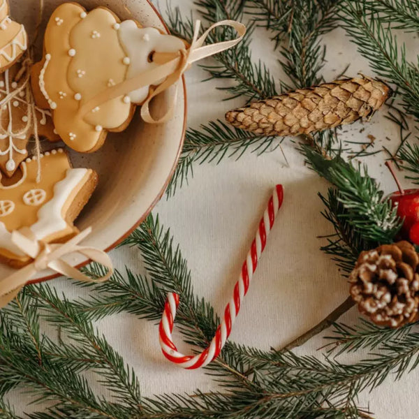 Minimising Environmental Harm During Christmas | Spruce Blog